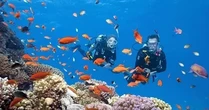 Hai thợ lặn ở Quảng Trị gặp sự cố dẫn đến tử vong