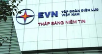 Kiểm toán Tập đoàn Điện lực Việt Nam EVN