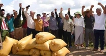 Cuba muốn học hỏi một kỹ thuật của Việt Nam trong lĩnh vực nuôi sống một nửa nhân loại: Kỳ tích