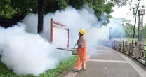 Những điều cần biết về bệnh Chikungunya đang bùng phát tại Trung Quốc