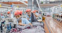 Doanh nghiệp dệt may có tỷ trọng xuất khẩu sang Mỹ cao nhất ngành sắp thưởng cổ phiếu 50%, kế hoạch lợi nhuận cao kỷ lục