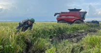 Động thái chưa từng có tiền lệ: Cuba đánh cược tương lai nông nghiệp vào hạt giống Việt Nam