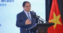 Việt Nam - Brazil sẽ lập thương hiệu chung 1 mặt hàng nước ta vừa lập kỷ lục, hơn 80 nước ồ ạt chốt đơn