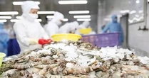 Ngành hàng xuất khẩu tỷ USD kiến nghị bỏ thuế VAT