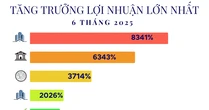 15 công ty tăng trưởng lợi nhuận 'khủng' nhất 6T2025: Đứng đầu là doanh nghiệp của tỷ phú Phạm Nhật Vượng, ngành điện góp mặt nhiều nhất
