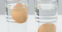 Cách phân biệt trứng tốt và trứng hỏng nhanh nhất, dễ nhất