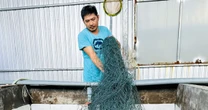 Nuôi loài có khả năng tự đổi giới tính, nông dân bỏ túi 2 tỷ/năm