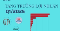 Tăng trưởng lợi nhuận 'khủng' nhất Q1/2025: Đứng đầu là 2 công ty BĐS tăng trên 10.000%, 2 công ty ô tô tăng trên 2.000%