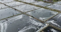 Bị Mỹ áp thuế mạnh tay với mặt hàng chủ lực, quốc gia Đông Nam Á quay xe xuất khẩu sang Trung Quốc, khẳng định: Chúng tôi có một cơ hội rất lớn ở đây!