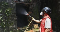 Trung Quốc "dốc toàn lực" dập dịch Chikungunya