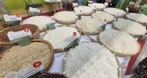 Vì sao Việt Nam chi 1 tỉ USD nhập khẩu gạo chỉ trong 7 tháng?
