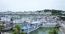 Quảng Ninh tạm ngừng cấp phép các hoạt động tham quan, lưu trú trên vịnh Hạ Long