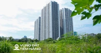 Toàn cảnh khu đất vàng rộng 6 ha vừa được thu hồi để xây nhà thấp tầng, đối diện dự án có biệt thự 1 tỷ đồng/m2 của Vinhomes