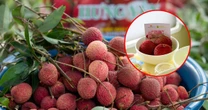 Vải trứng Hưng Yên được mang bán trên trời!