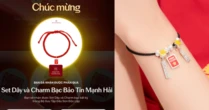 Tình yêu nước lên ngôi: Bảo Tín Mạnh Hải góp thêm dấu ấn trong chuỗi hoạt động Fandom Yêu Nước