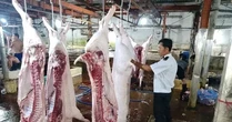 Lộ sai phạm kiểm soát tại lò mổ heo cho Công ty C.P Việt Nam