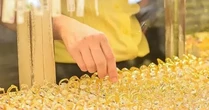 Xóa độc quyền vàng miếng: Giải phóng hàng chục tỷ USD 'chết' trong dân