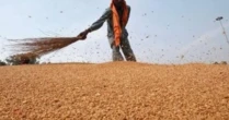 Hàng trăm nghìn tấn ‘báu vật’ từ Nga vừa đổ bộ vào Việt Nam: Thuế nhập khẩu 0%, Moscow đang là 'ông trùm' xuất khẩu của thế giới