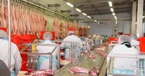 Tập đoàn chế biến thịt lớn nhất thế giới muốn biến Việt Nam thành trung tâm sản xuất toàn cầu