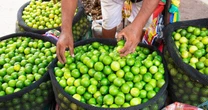 Loại quả bán đầy ở chợ Việt Nam giá cực rẻ - Sang trời Tây bỗng thành hàng hot, được các 'đại gia dầu mỏ' tranh mua như đặc sản
