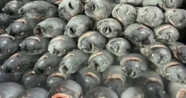 Một mặt hàng gần tỷ USD của Việt Nam chinh phục hơn 110 nước đang “gặp khó”, Thủ tướng vừa chỉ đạo gì?