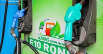 Sau hơn 10 ngày mở bán, xăng sinh học E10 được tiêu thụ thế nào?