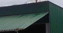 Trèo lên mái nhà chống bão số 5, chồng bị điện giật tử vong, vợ và con bị thương