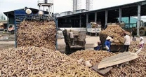 Hàng chục nghìn tấn hàng ùn ứ ở cửa khẩu: Bộ trưởng Thái Lan vừa nhấn mạnh điều gì?