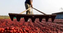 Quốc giá BRICS bị Mỹ áp thuế 50% một mặt hàng chiến lược, 8 triệu bao hàng chưa biết đi đâu về đâu
