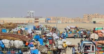 Afghanistan tuyên bố loại bỏ 58 lính Pakistan trong giao tranh biên giới