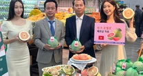 Bất ngờ giá bưởi Việt Nam bán trên kệ siêu thị Hàn Quốc
