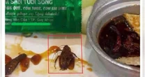 Thực khách phát hiện gián trong món ăn của một nhà hàng có tiếng tại Quy Nhơn