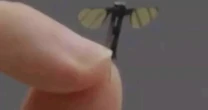 Mổ xẻ 'drone muỗi' Trung Quốc chuyên dùng cho do thám quân sự