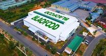 Công ty Việt Nam đầu tiên xuất khẩu rau củ đông lạnh muốn niêm yết trên HOSE, giá cổ phiếu vượt đỉnh lịch sử