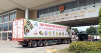 Xuất khẩu Việt Nam lập kỷ lục nhờ một loại quả, Thái Lan tính 'bắt tay': Giấc mơ 10 tỷ USD không còn xa
