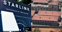 Quốc hội Mỹ điều tra "con cưng" của Elon Musk vì tình nghi "nối giáo" cho các trung tâm lừa đảo tại Myanmar