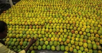 Loại quả của Việt Nam khiến cựu Đại sứ Hoa Kỳ phải xuýt xoa khen ngợi 'ngon nhất thế giới': Trung Quốc siêu mê, diện tích trồng hơn 110.000 ha