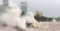 Chuyên gia: Bão số 11 Matmo mạnh lên nhanh trong ngày mai, cực đại cấp 12-13