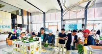 Sáp nhập TPHCM với Bình Dương và Bà Rịa - Vũng Tàu: Có nên xuống tiền mua đất?