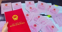Từ 1/8, những trường hợp sau sẽ bị hủy sổ đỏ