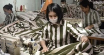 Phạm nhân nghèo không có tiền khắc phục hậu quả vẫn có cơ hội được đặc xá?