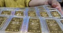 Sáng 17/11: Giá vàng SJC, vàng nhẫn trơn vẫn 151 triệu đồng/lượng sau cú lao dốc