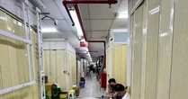 Vòi bạch tuộc vẫn luồn lách