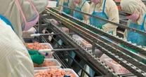 Doanh nghiệp xuất khẩu tôm lớn nhất nhì Việt Nam bị áp thuế cao bất thường tới 35,29% từ Mỹ