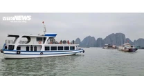 Quảng Ninh yêu cầu lắp định vị hàng hải AIS trên tất cả tàu du lịch Vịnh Hạ Long
