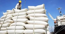 Thị trường gạo châu Á thấp nhất trong nhiều năm
