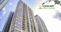 “Nhịn ăn” cả năm chỉ đủ mua 1 m2 chung cư Hà Nội