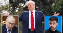 Ông Trump giải thích lý do cuộc gặp thượng đỉnh Putin - Zelensky bị trì hoãn: "Họ không thích nhau"