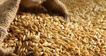 Đường Man của đại gia Đường ‘bia’ báo nợ phải trả gấp 174 lần vốn chủ sở hữu
