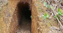 Cận cảnh những hầm vàng trái phép trong rừng phòng hộ Quảng Trị
